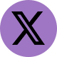 A purple circle with an x in it.